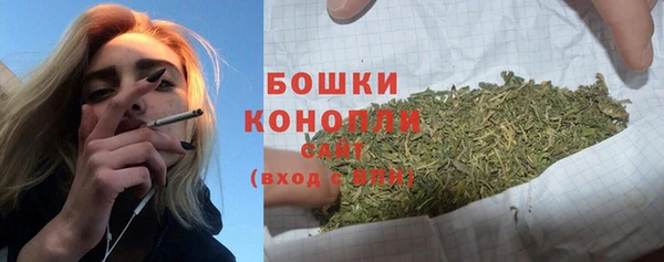 МДПВ Горняк