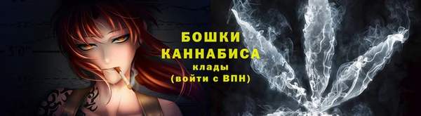 МДПВ Горняк