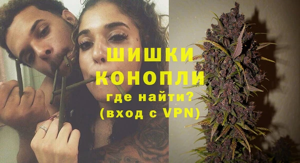 МДПВ Горняк