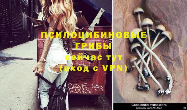 а пвп мука Гусев