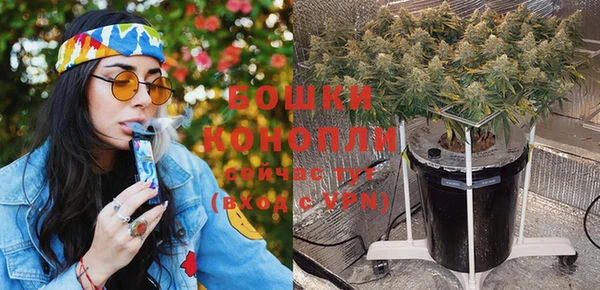 мдпв Болохово