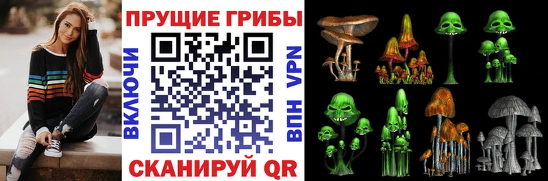 купить наркотик  сайты даркнета клад  Псилоцибиновые грибы Psilocybine cubensis  Дмитровск 